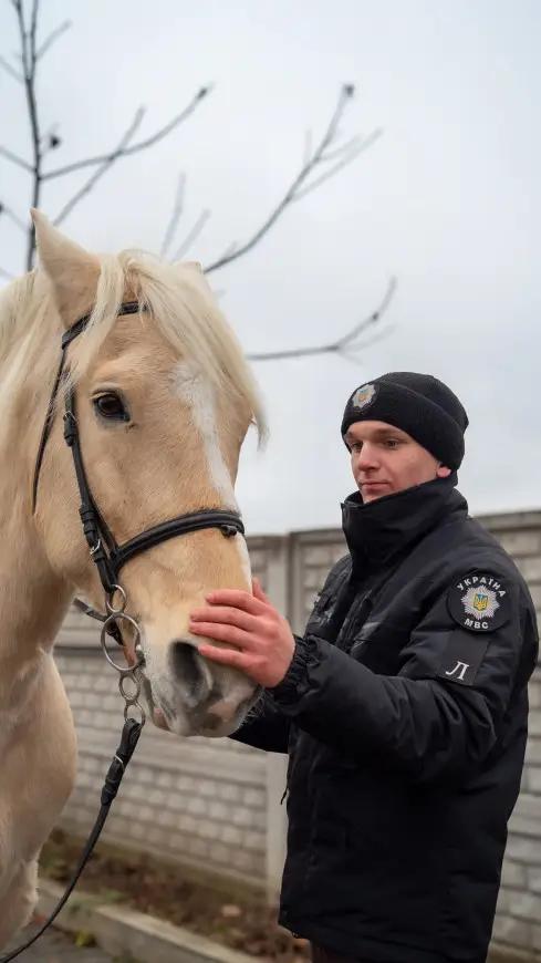 Верхова їзда - вид психологічного розвантаження